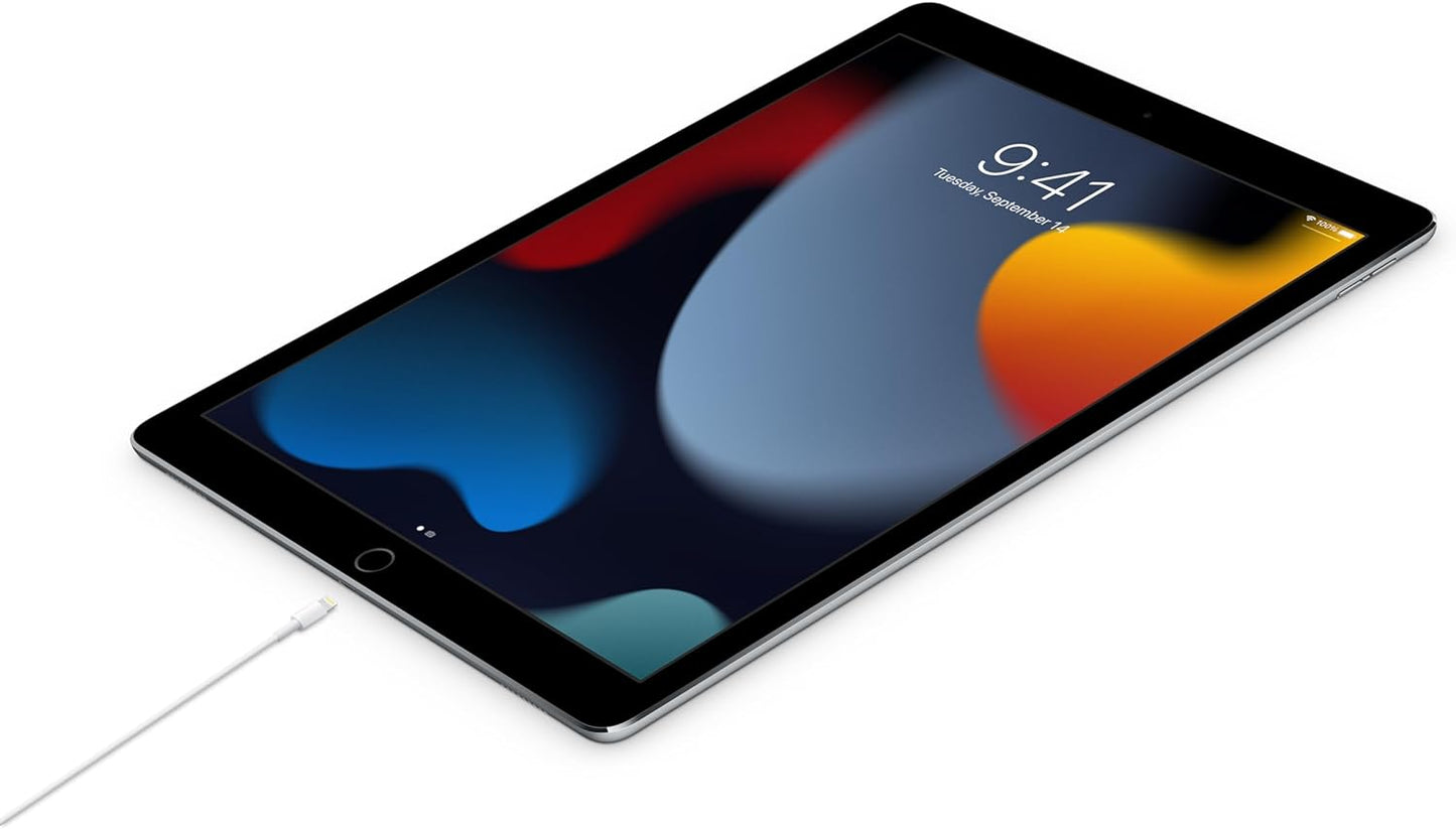 Apple Cable USB-C a Lightning 1 metro