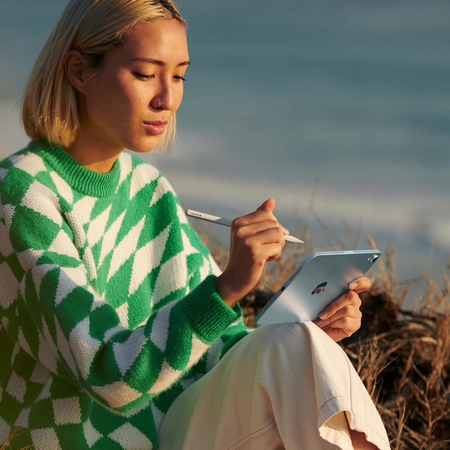 Apple iPad Mini A17 Pro (Wi-Fi , 128 GB)