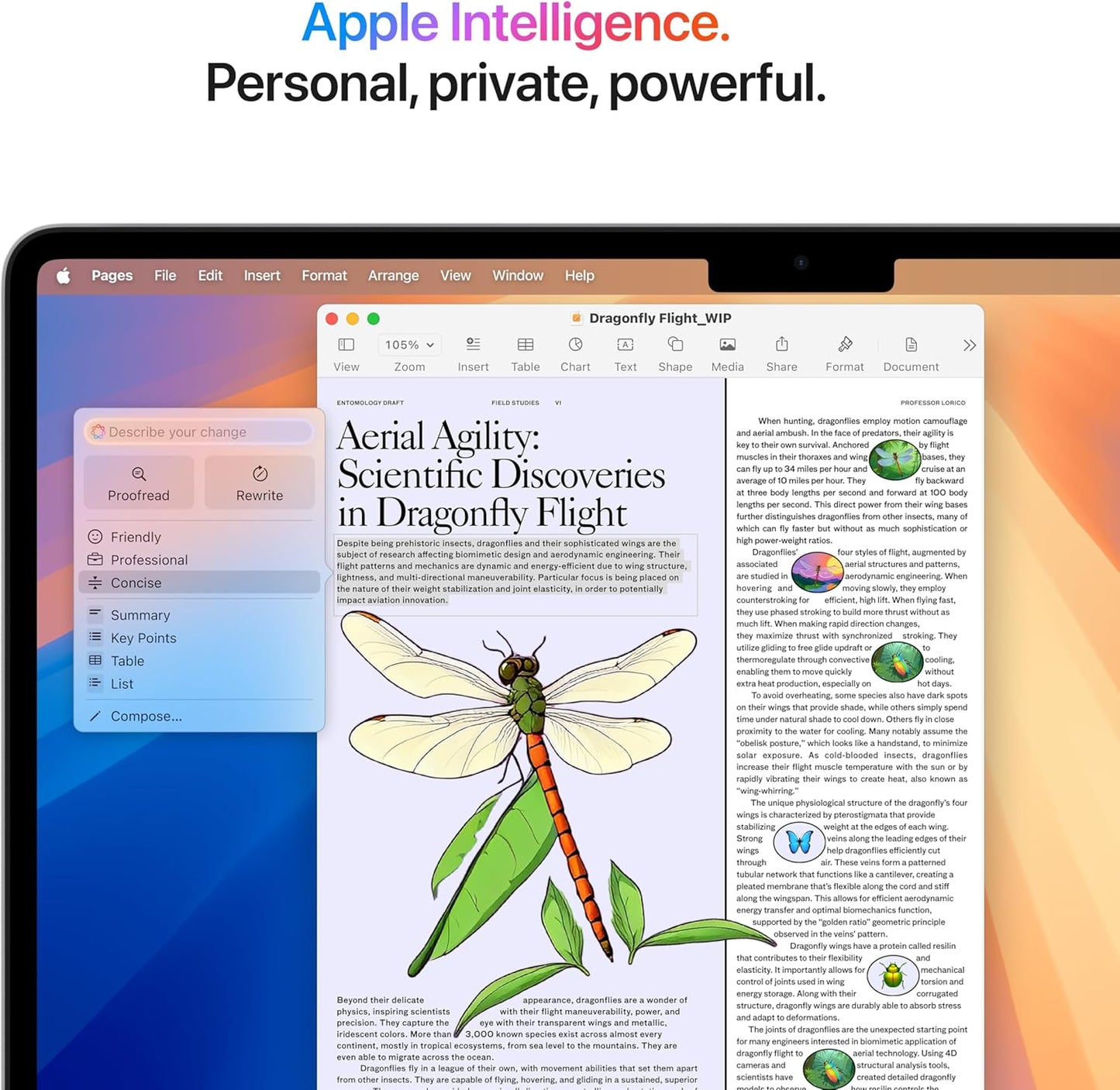 Apple MacBook Air M4 256 SSD 16 GB RAM